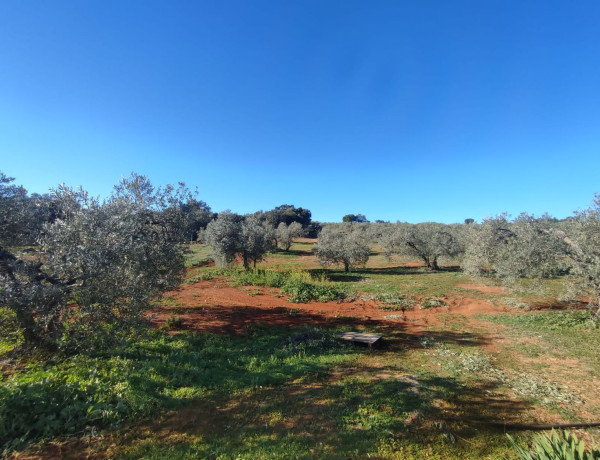 Casa rural en venta en sierra de paterna s/n