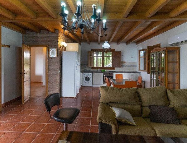 Casa o chalet independiente en venta en Centro