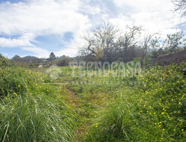 Terreno en venta en cuesta C. la