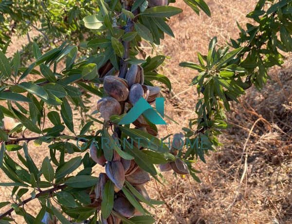 Terreno en venta en Jauja