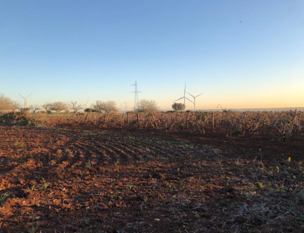 Terreno en venta en Urb. Miralamar, Pinar de los Franceses - Marquesado