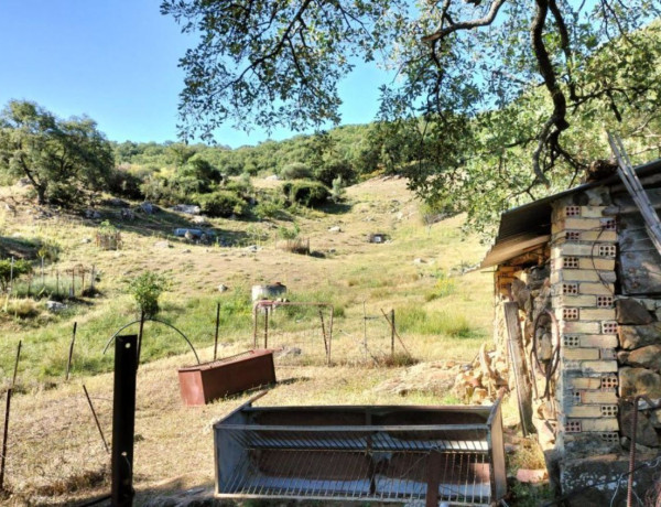 Terreno en venta en Grazalema