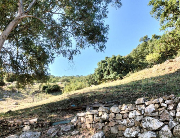 Terreno en venta en Grazalema