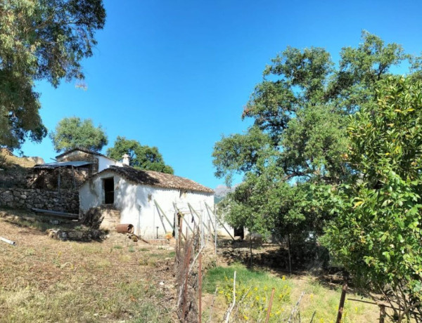 Terreno en venta en Grazalema