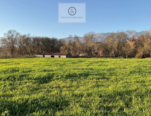 Finca rústica en venta en Candeleda