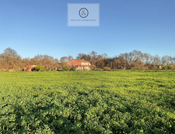 Finca rústica en venta en Candeleda