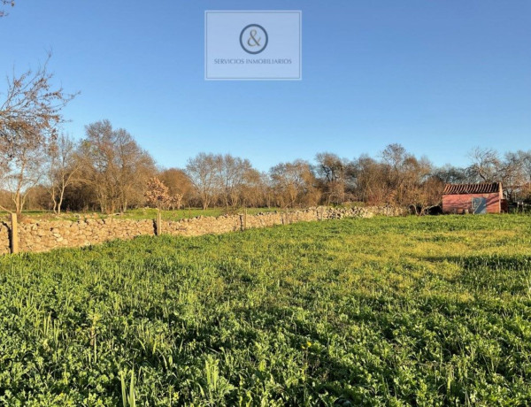 Finca rústica en venta en Candeleda