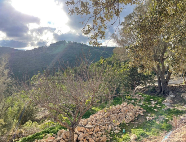 Alquiler de Casa o chalet independiente en Sant Joan de Labritja