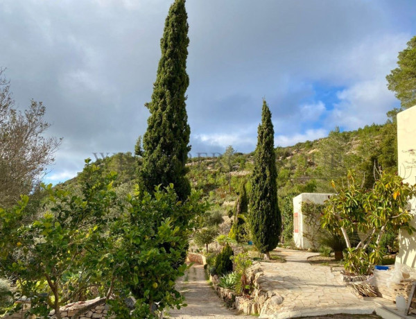 Alquiler de Casa o chalet independiente en Sant Joan de Labritja