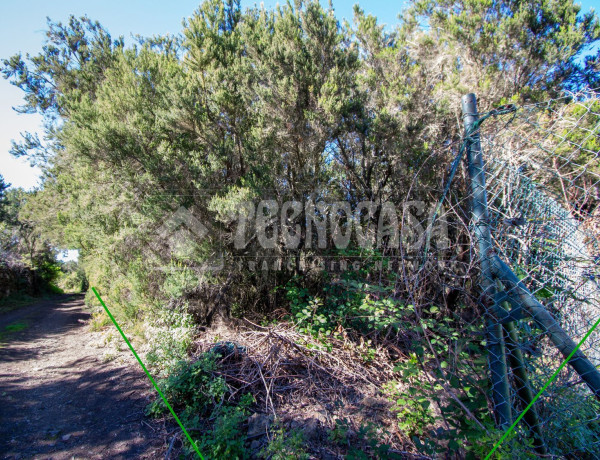 Terreno en venta en C. de Rosa Vieja