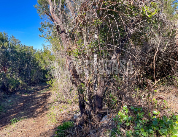 Terreno en venta en C. de Rosa Vieja