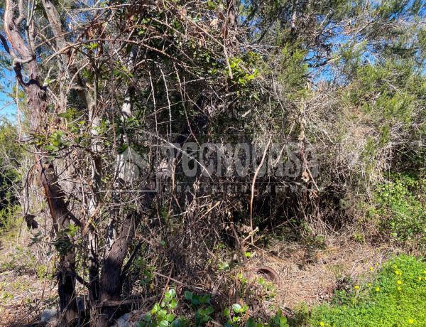 Terreno en venta en C. de Rosa Vieja