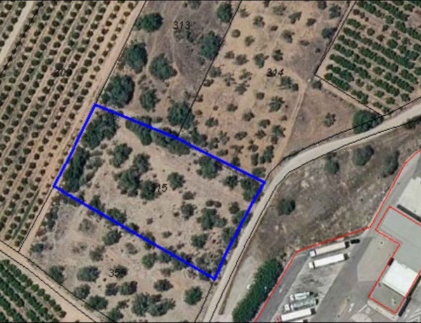 Terreno en venta en Zona Pueblo