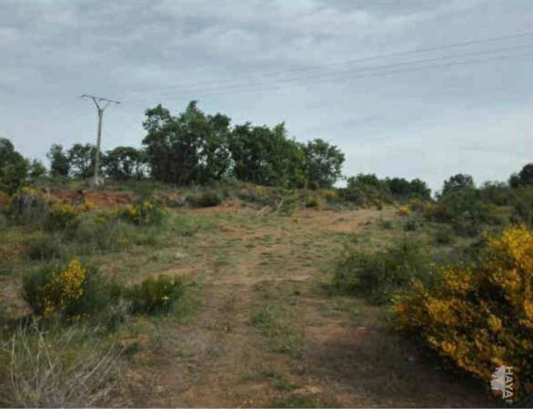 Terreno en venta en carretera Ciudad Rodrigo