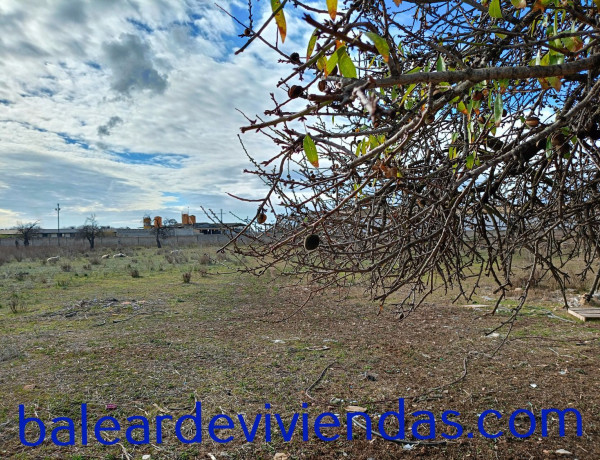 Terreno en venta en calle d'Inés Ribera