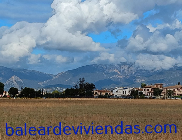 Terreno en venta en calle d'Inés Ribera