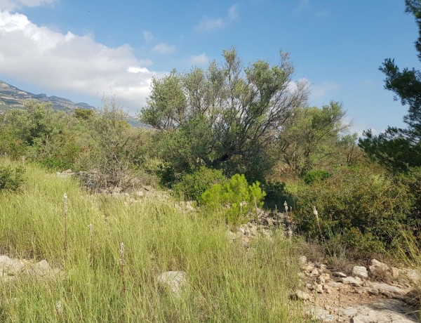 Terreno en venta en Montsià de Mar