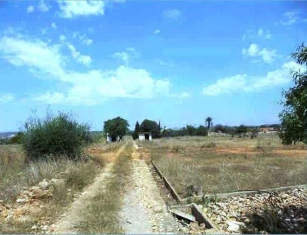 Terreno en venta en camino del Campas