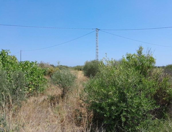 Terreno en venta en camino del Campas