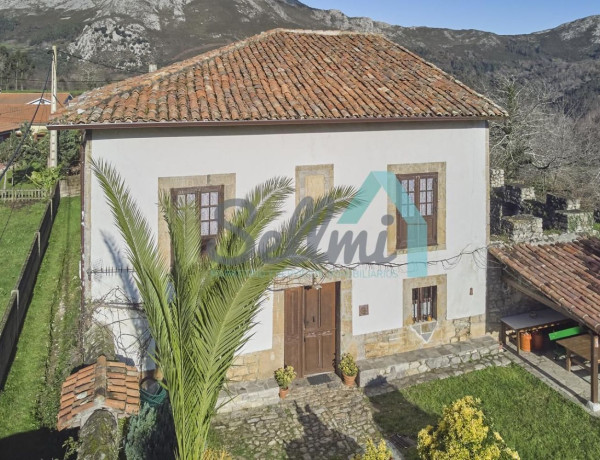 Casa o chalet independiente en venta en Lugar Ardisana