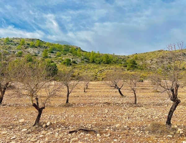 Terreno en venta en Las Virtudes