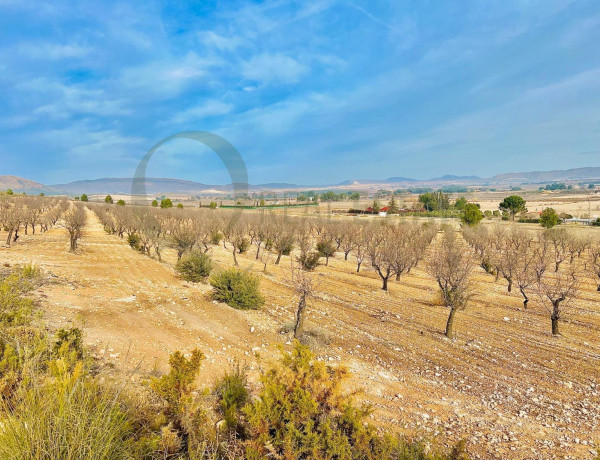 Terreno en venta en Las Virtudes