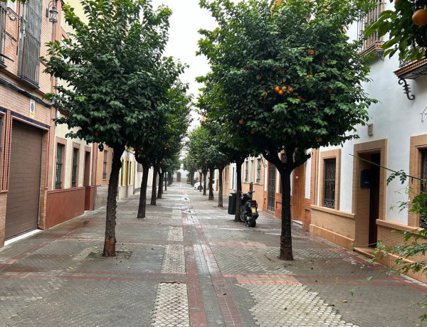 Alquiler de Local o nave en calle Quiroga