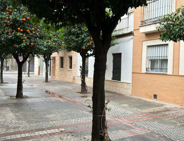 Alquiler de Local o nave en calle Quiroga