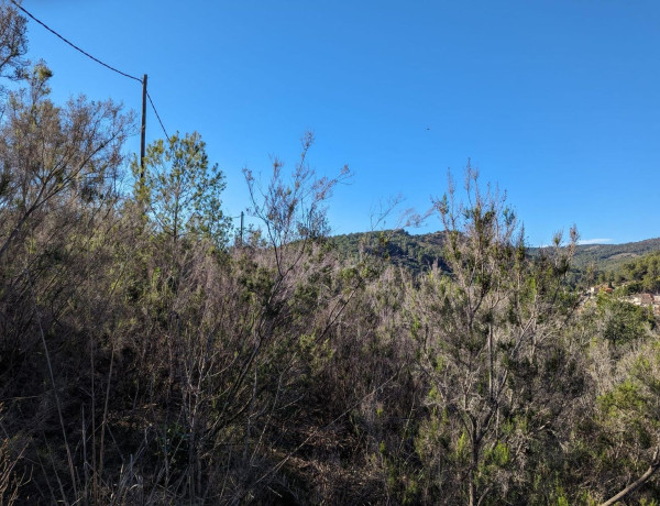 Terreno en venta en carretera de Santboi