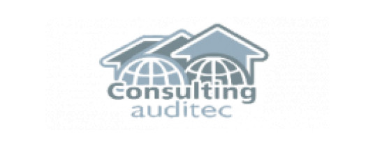 Consulting Auditec