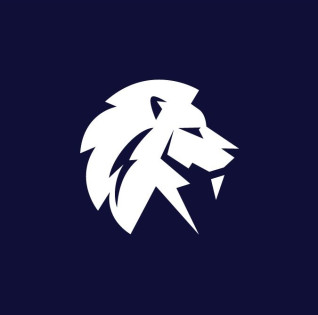 LION CAPITAL GROUP