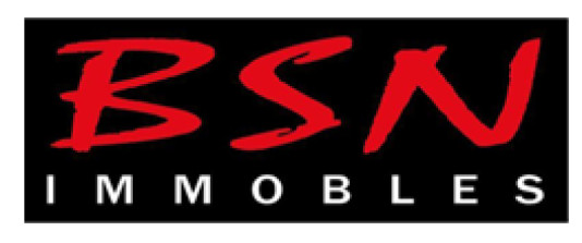 Bsn Immobles