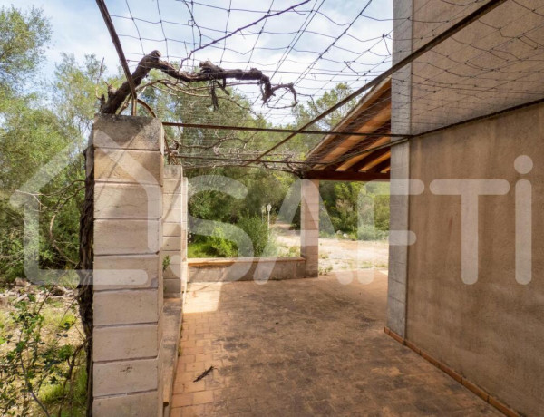 Preciosa casa en finca rústica cerca de Pina