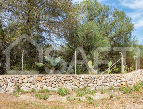 Preciosa casa en finca rústica cerca de Pina