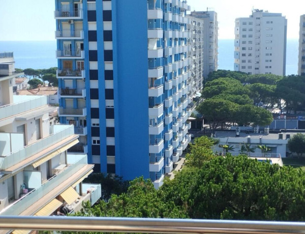 PISO EN BLANES CON ZONAS AJARDINADAS Y PISCINA