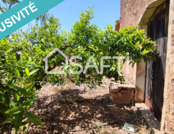 ¡Se vende finca agrícola de 47 ha! Ideal para Inversores.