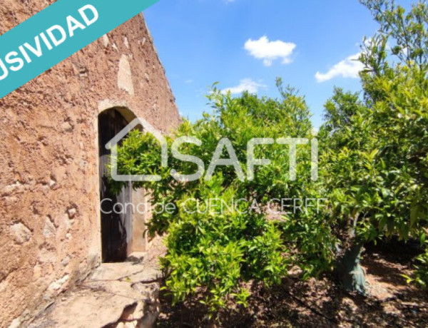 ¡Se vende finca agrícola de 47 ha! Ideal para Inversores.