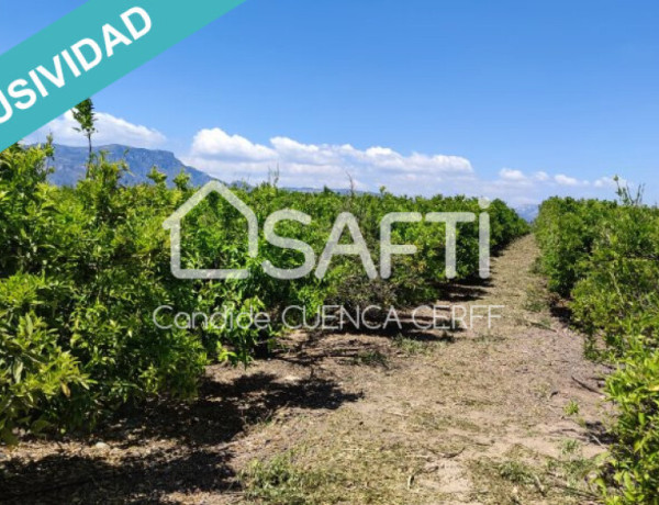 ¡Se vende finca agrícola de 47 ha! Ideal para Inversores.