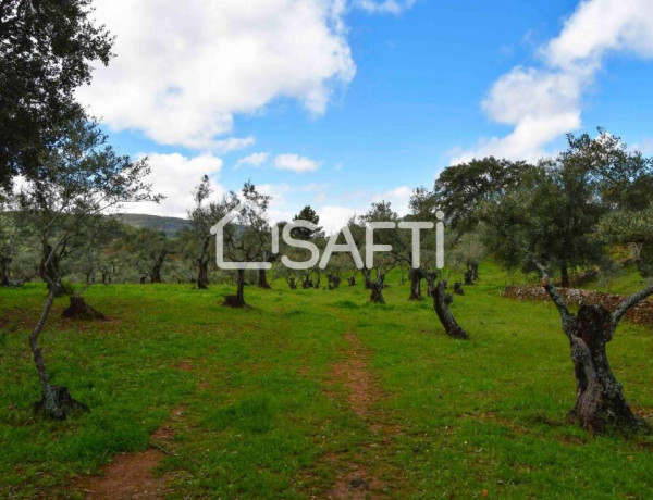 Fantástica finca rústica en pleno Sierra de Gata.