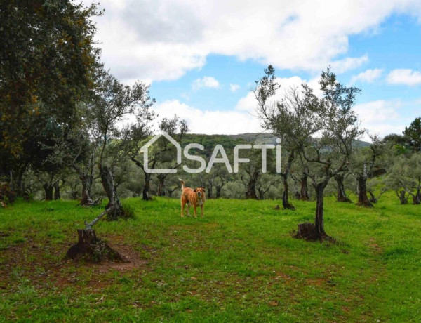 Fantástica finca rústica en pleno Sierra de Gata.