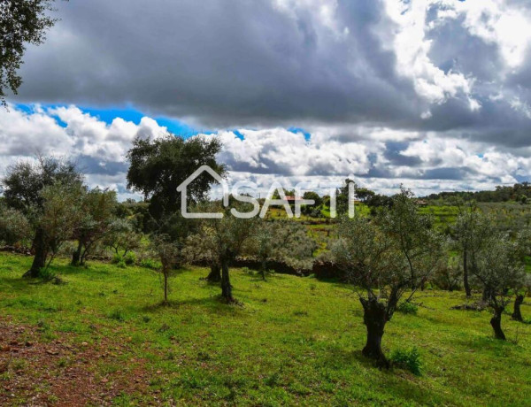 Fantástica finca rústica en pleno Sierra de Gata.