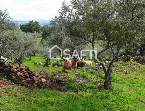 Fantástica finca rústica en pleno Sierra de Gata.