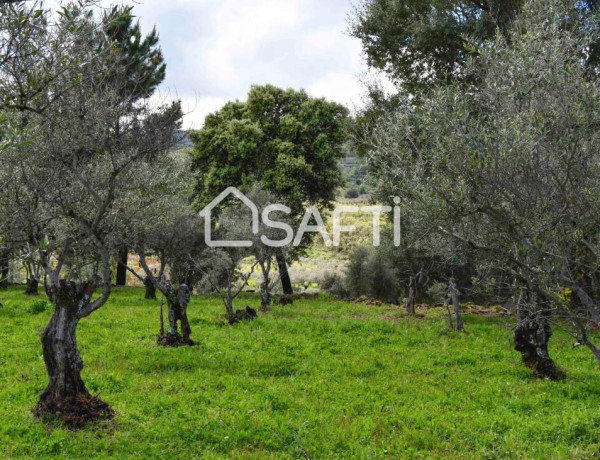 Fantástica finca rústica en pleno Sierra de Gata.