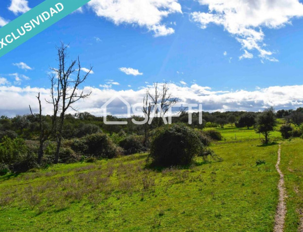 Finca rústica de 11 hectáreas a tiro de piedra del Embalse de Sierra de Gata.