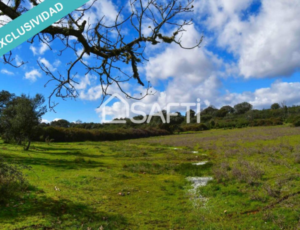 Finca rústica de 11 hectáreas a tiro de piedra del Embalse de Sierra de Gata.