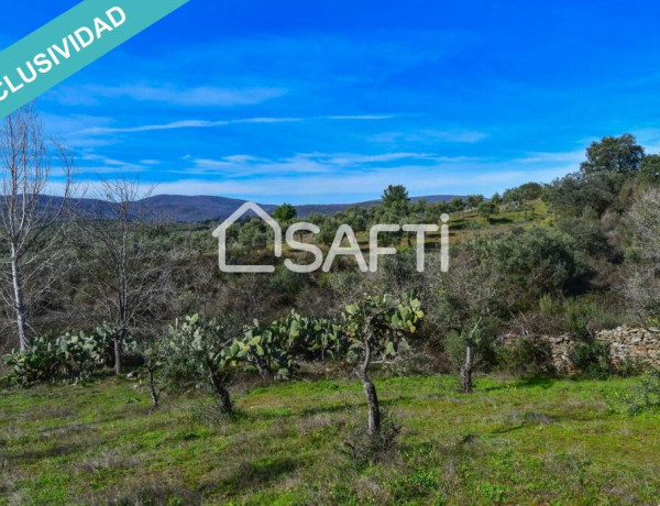 Finca de 19.500m2 con agua abundante en la Sierra de Gata