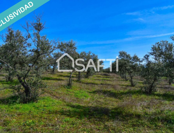 Finca de 19.500m2 con agua abundante en la Sierra de Gata