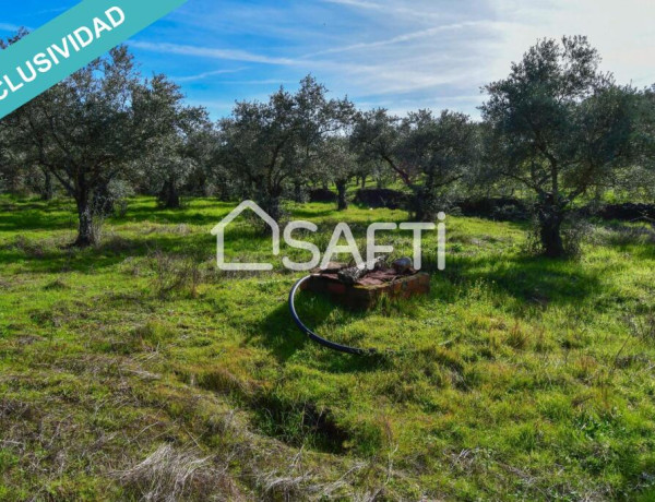 Finca de 19.500m2 con agua abundante en la Sierra de Gata