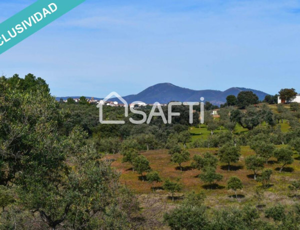 Finca de 19.500m2 con agua abundante en la Sierra de Gata