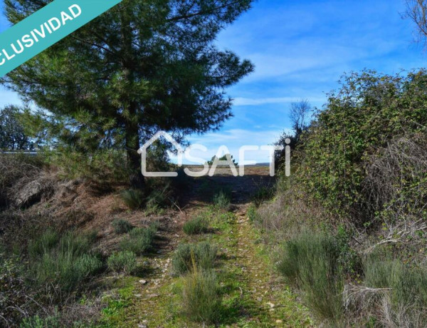 Finca de 19.500m2 con agua abundante en la Sierra de Gata